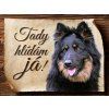 Cedulka Chodský pes - Tady hlídám já/CP533