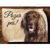 Cedulka Irský setr - Pozor pes/CP474