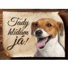 Cedulka Jack Russell teriér - Tady hlídám já/CP066