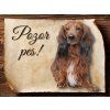 Cedulka Jezevčík - Pozor pes/CP234