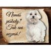 Cedulka Maltézský psík - Piškoty/CP223