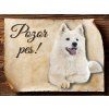 Cedulka Samojed - Pozor pes/CP156