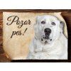 Cedulka Středoasijský pastevecký pes - Pozor pes/CP314