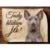 Cedulka Thajský Ridgeback - Tady hlídám já/CP661