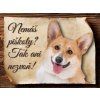 Cedulka Welsh Corgi Pembroke - Piškoty/CP229