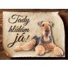 Cedulka Airedalský Terrier - Tady hlídám já/CP107
