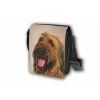 Taška Briard T030