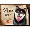 862 Cedulka Shiba Inu II