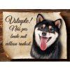 863 Cedulka Shiba Inu II