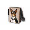 T137 Taška Basenji