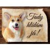 1087 Cedulka Welsh Corgi Pembroke