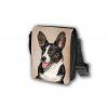 T153 Taška Welsh corgi cardigan