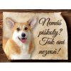 1089 Cedulka Welsh Corgi Pembroke