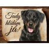 Cedulka Beauceron - Tady hlídám já/CP502