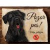 1303 Cedulka Ruský černý teriér