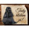 1450 Cedulka Americký kokršpaněl 1