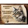 SK003 Cedulka Mačka Americký Bobtail 3