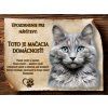 SK043 Cedulka Mačka Nebelung 2