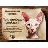 SK070 Cedulka Peterbald 1