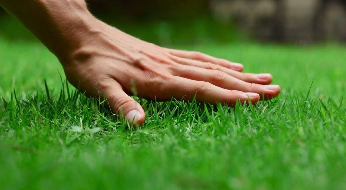 Víme, co je základem perfektního trávníku. Chcete to prozradit?