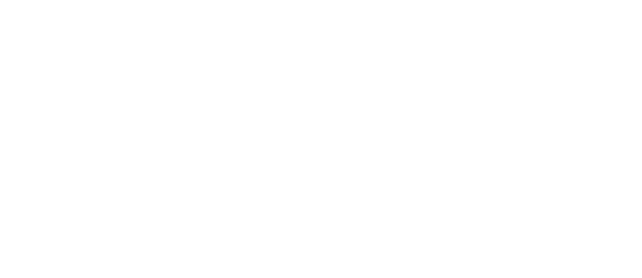 MS Clever, s. r. o.