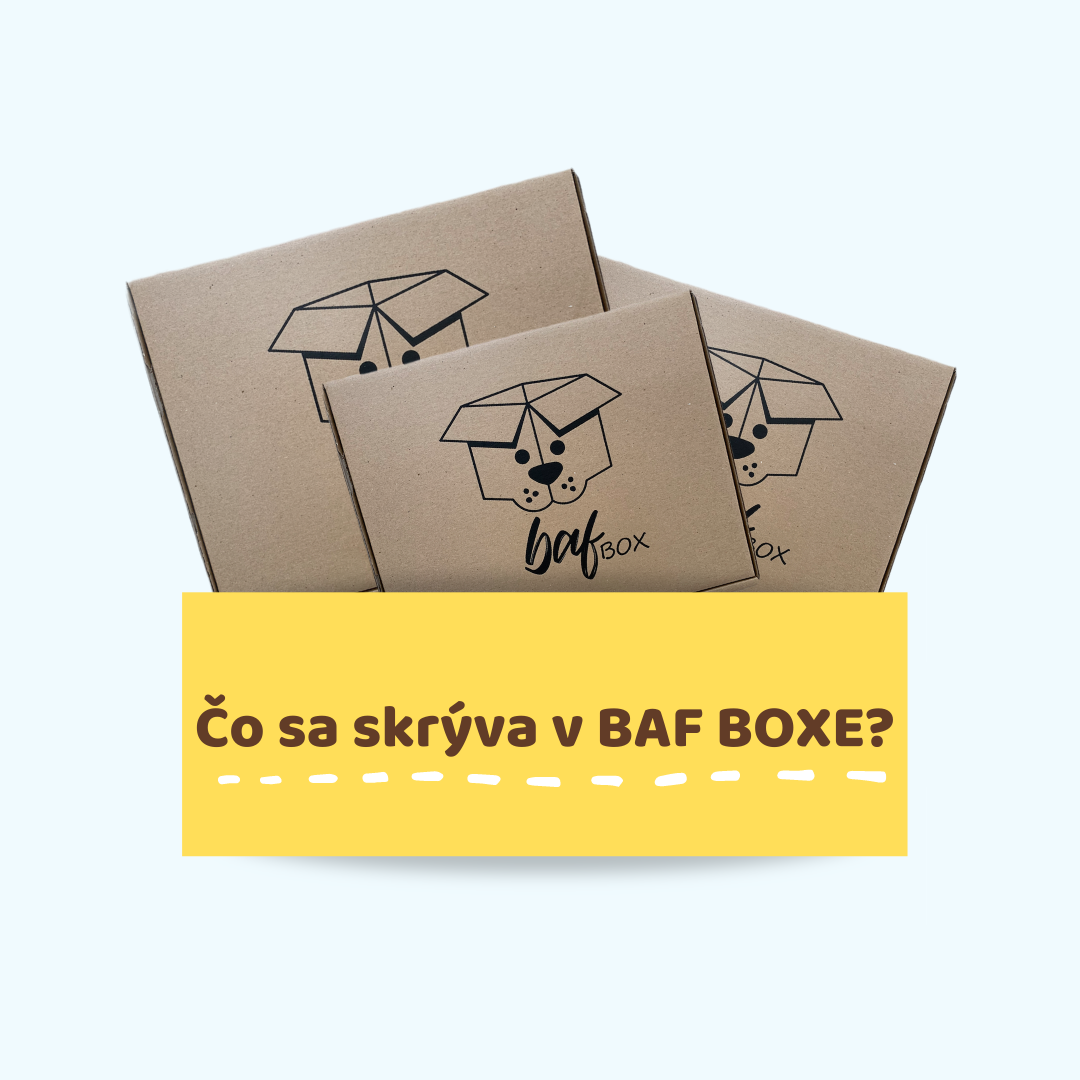 Čo vkladáme do BAF BOXU?