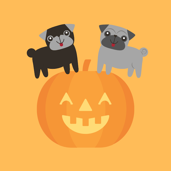 Halloween na JB Shopu