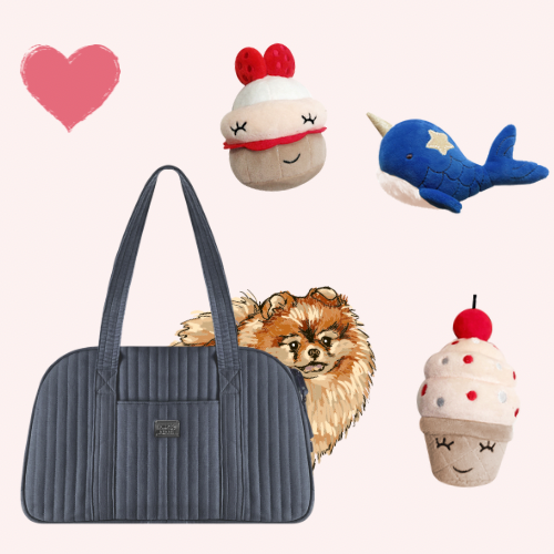 Nová kolekce je skladem