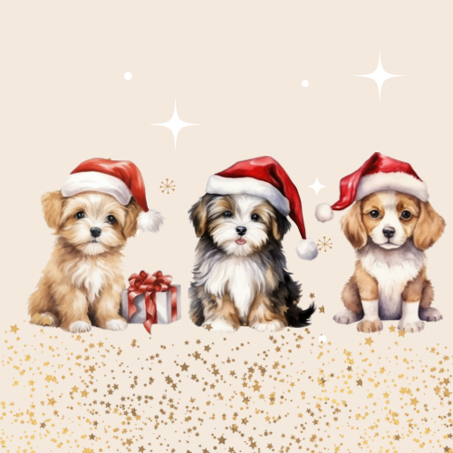 Vánoční sezóna 2023 na JB Shopu