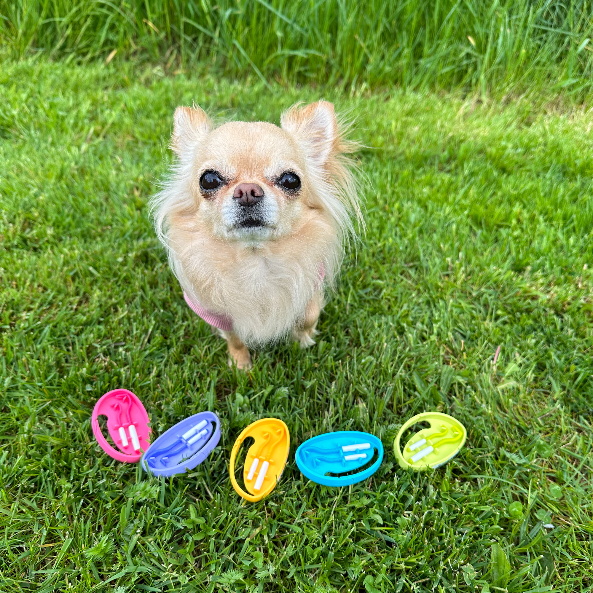 Háčky na klíšťata Tick Twister