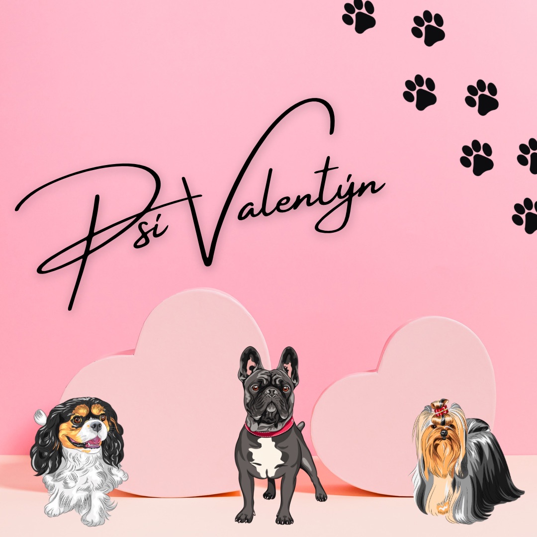 Psí Valentýn