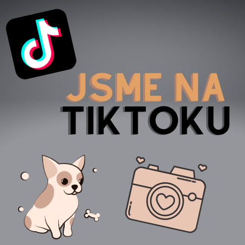 Máme TikTok