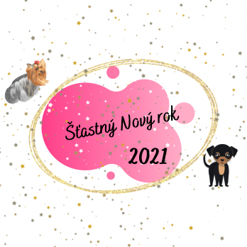 Nový rok 2021 ✨