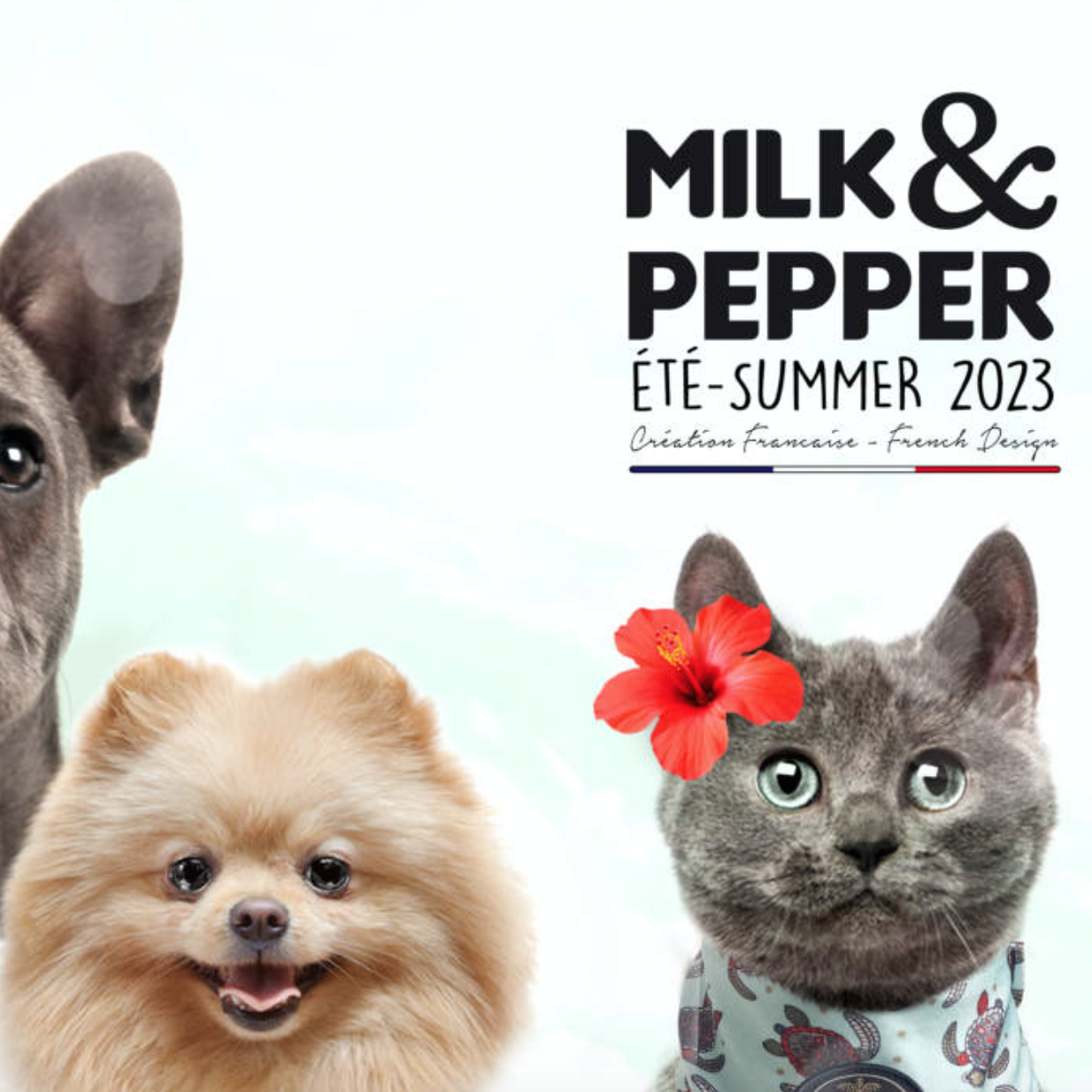 Nová kolekce Milk&Pepper jaro/léto 2023