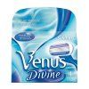 venus divine