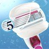 sugarberry venus2
