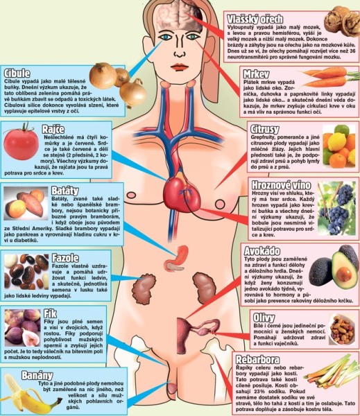 ovoce_organy