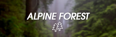 Zapach Alpine Forest