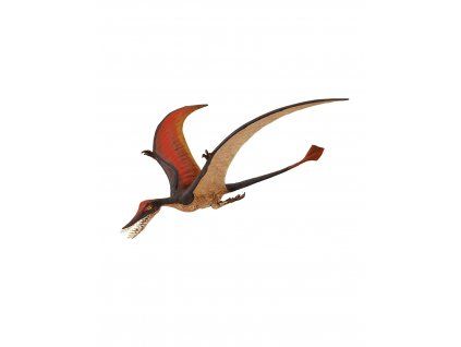 ramphorhynchus (1)
