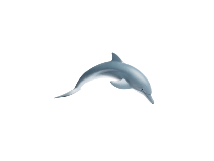 delfin (3)