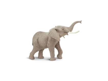 slon africky