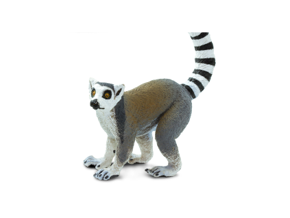 lemur (2)