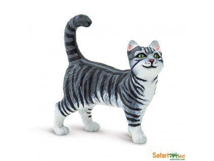 100128 Gray Tabby Cat