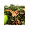 ramphorhynchus (2)