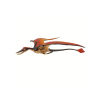 ramphorhynchus (4)