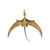 ramphorhynchus (5)