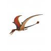 ramphorhynchus (1)