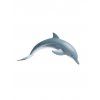 delfin (3)