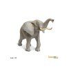 slon africky (4)