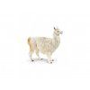 Safari Lama
